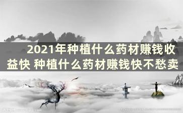 2021年种植什么药材赚钱收益快 种植什么药材赚钱快不愁卖